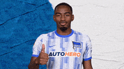 Bundesliga Berlin GIF by Hertha BSC