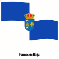 Castilla-La Mancha Bandera GIF by Formación Ninja