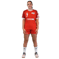 Schweiz Sticker by Swiss Handball