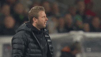 sv werder bremen bundesliga GIF