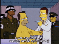 homer simpson episode 6 GIF