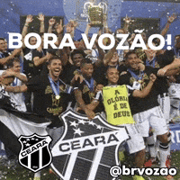 Brvozao GIF