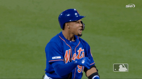 celebrate carlos gomez GIF by New York Mets