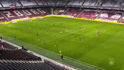 Fc Salzburg Goal GIF by SK Sturm Graz
