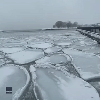 Pancake Ice Bobs in Lake Michigan as Arctic Blast Freezes Chicago