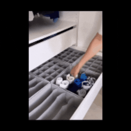 GIF Animado