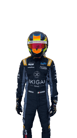 Racing What Sticker by Paola Depalmas