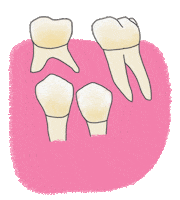 Teeth Dentist Sticker