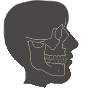 Face Skull Sticker