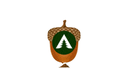 Tree Oak Sticker by GRUBE KG