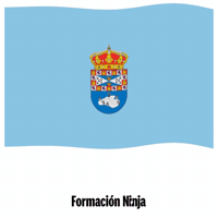 Comunidad De Madrid Flag GIF by Formación Ninja
