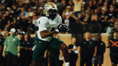 College Football GIF by USF Athletics