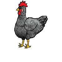 Amrock Sticker