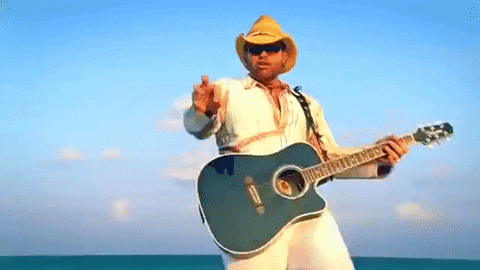 country music GIF by Toby Keith