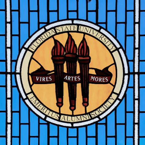 floridastateuniversity beautiful heritage fsu florida state university GIF