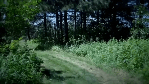 the ring GIF by Topshelf Records
