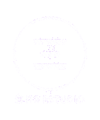 eliteestudiomadrid glitch neon studio baile Sticker