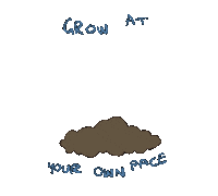 pokegirl93 nature flower plant grow Sticker