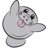 Florida Ami Sticker by Visit Bradenton