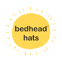 Sun Sticker by Bedhead Hats