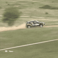 Erc Driving GIF by FIA European Rally Championship