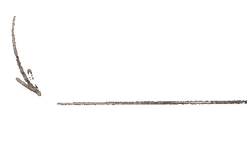 White Line Arrow Sticker