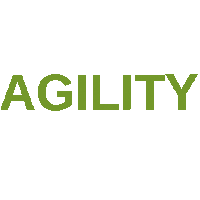 Agility Sticker by Hundesport Nubi