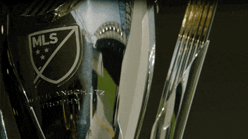 Mls Cup Football GIF by Major League Soccer