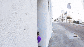 The Aquabats! vs. The Rockafire Explosion!