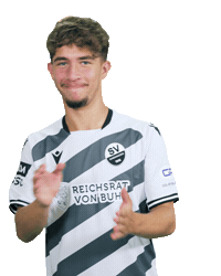 3Liga Sticker by SV Sandhausen