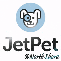 Jetpetresort  GIF