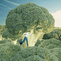 SimpleFeast adblocker simple feast hungry for change blockoff GIF