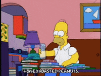 homer simpson GIF