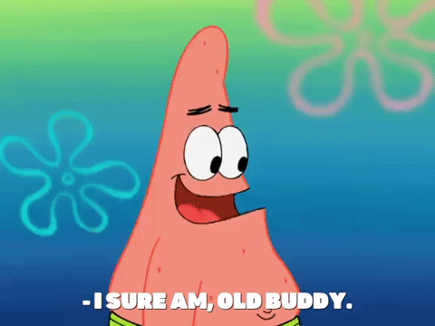 season 8 squidward's school for grown ups GIF by SpongeBob SquarePants