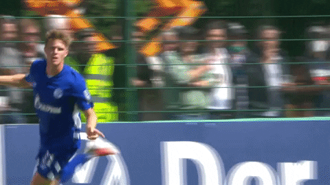 Soccer Goal GIF by FC Schalke 04