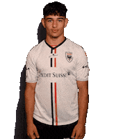 FCAarau fcaarau devran devransenyurt Sticker