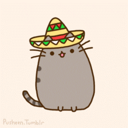 f1 GIF by Pusheen