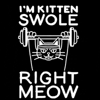 GIF by Activate Apparel