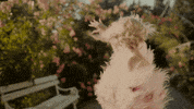 Happy House Party GIF by Anja Kotar