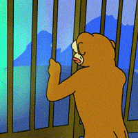 Im Back Let Me In GIF by Ponke