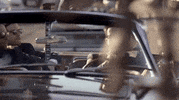 music video sugar GIF by Maroon 5
