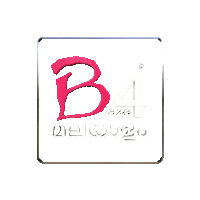B4blaze b4blaze b4blaze malayalam b4blaze news Sticker