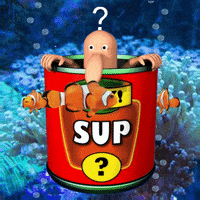 Whats Up Sup GIF