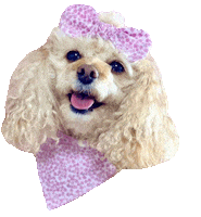 Animated Sticker