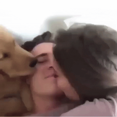 ever man dream GIF