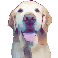 Happy Golden Retriever Sticker