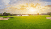 Golf Golfing GIF by Tarifcheck