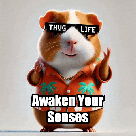 Wisdom GIF by Guinea Gambino