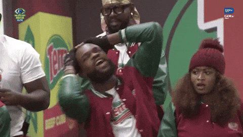 Bbnaija GIF by Big Brother Naija
