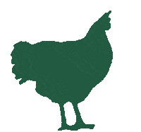 sicin-sasta fun green chicken farm Sticker